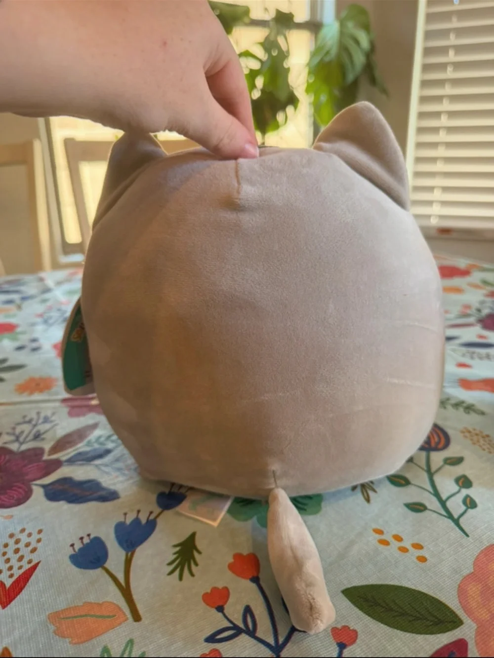 Squishmallows Gray Cat Plush with Rainbow Belly